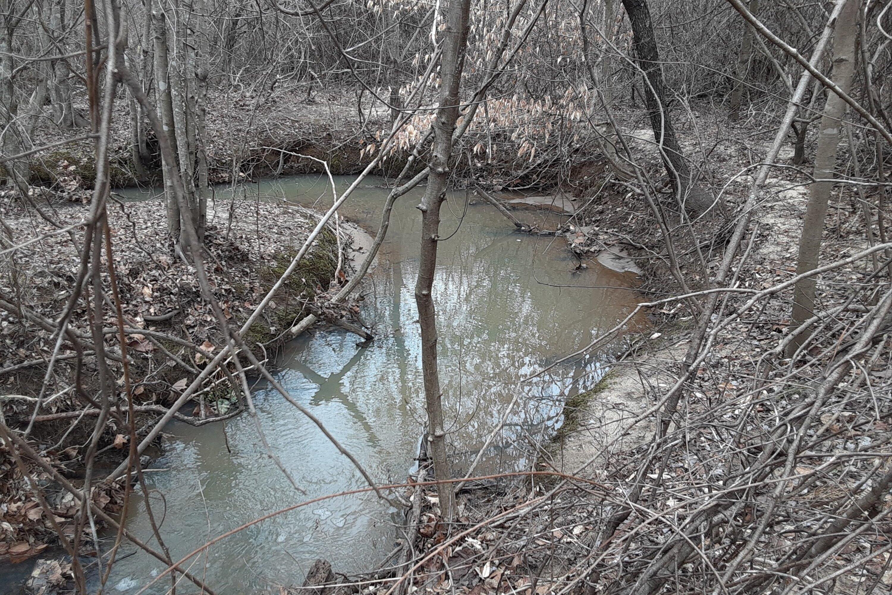 0 Wilson Church Road Bedford, VA 24523 - Photo 21 of 39