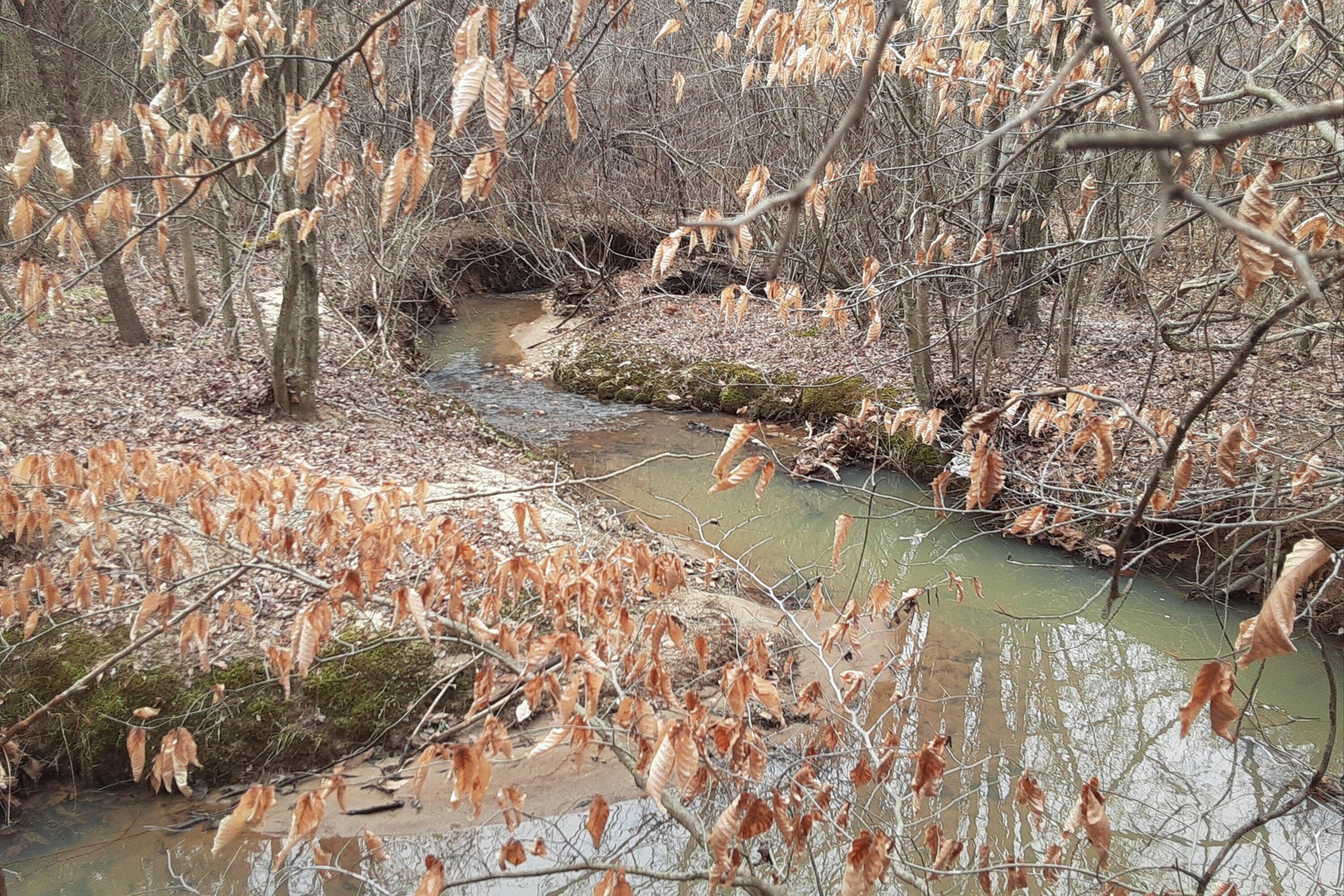 0 Wilson Church Road Bedford, VA 24523 - Photo 22 of 39 a view of lake with outdoor space
