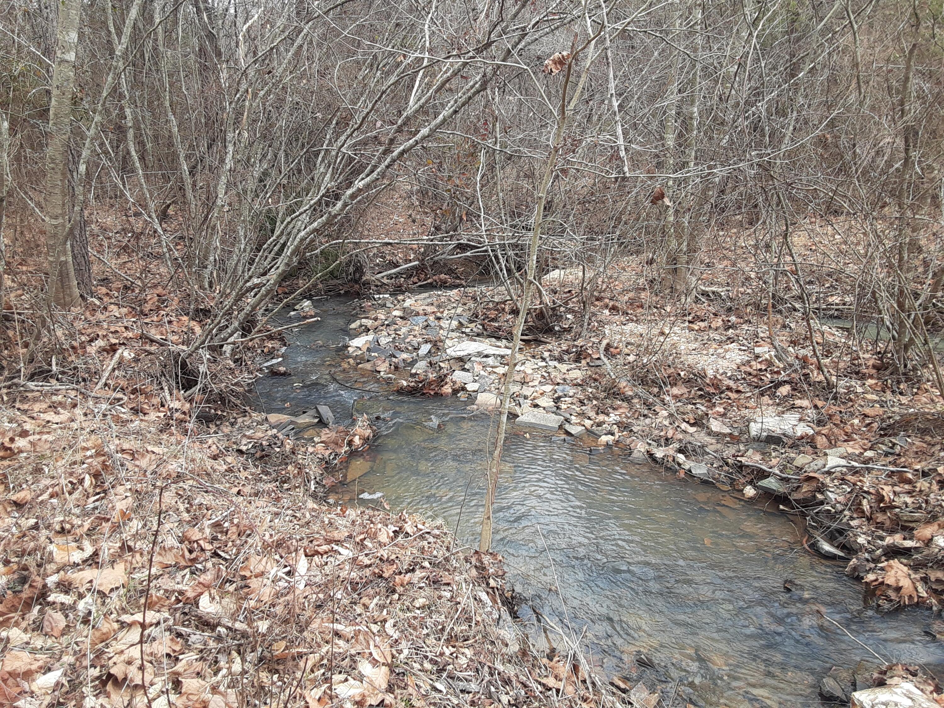 0 Wilson Church Road Bedford, VA 24523 - Photo 23 of 39 a view of water with mountain view