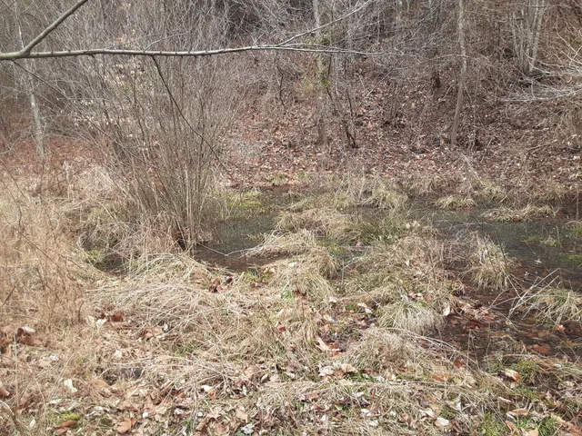 a close view of lake