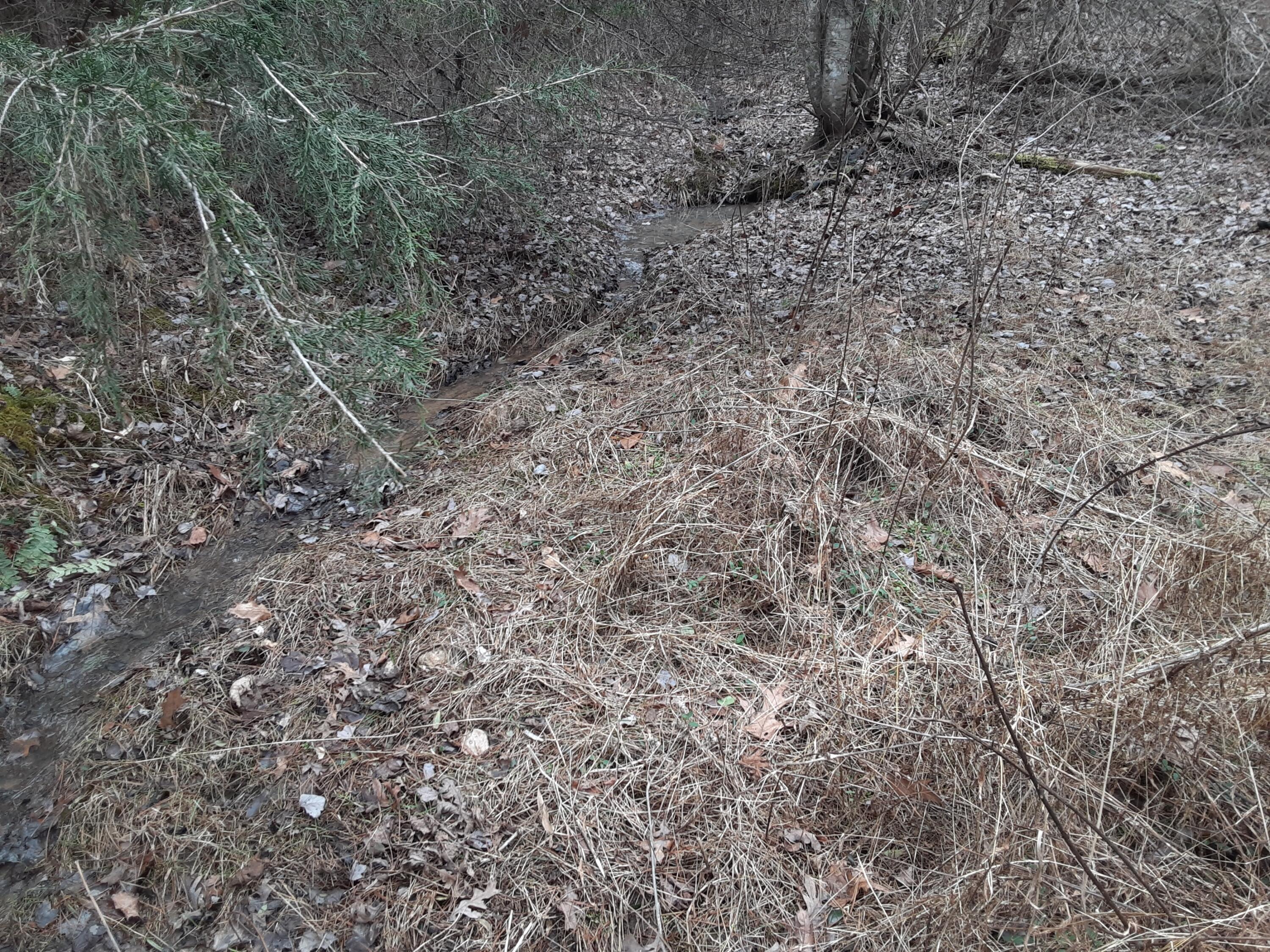 0 Wilson Church Road Bedford, VA 24523 - Photo 25 of 39 a view of a yard with a tree