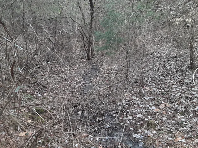 a view of a lake with a city