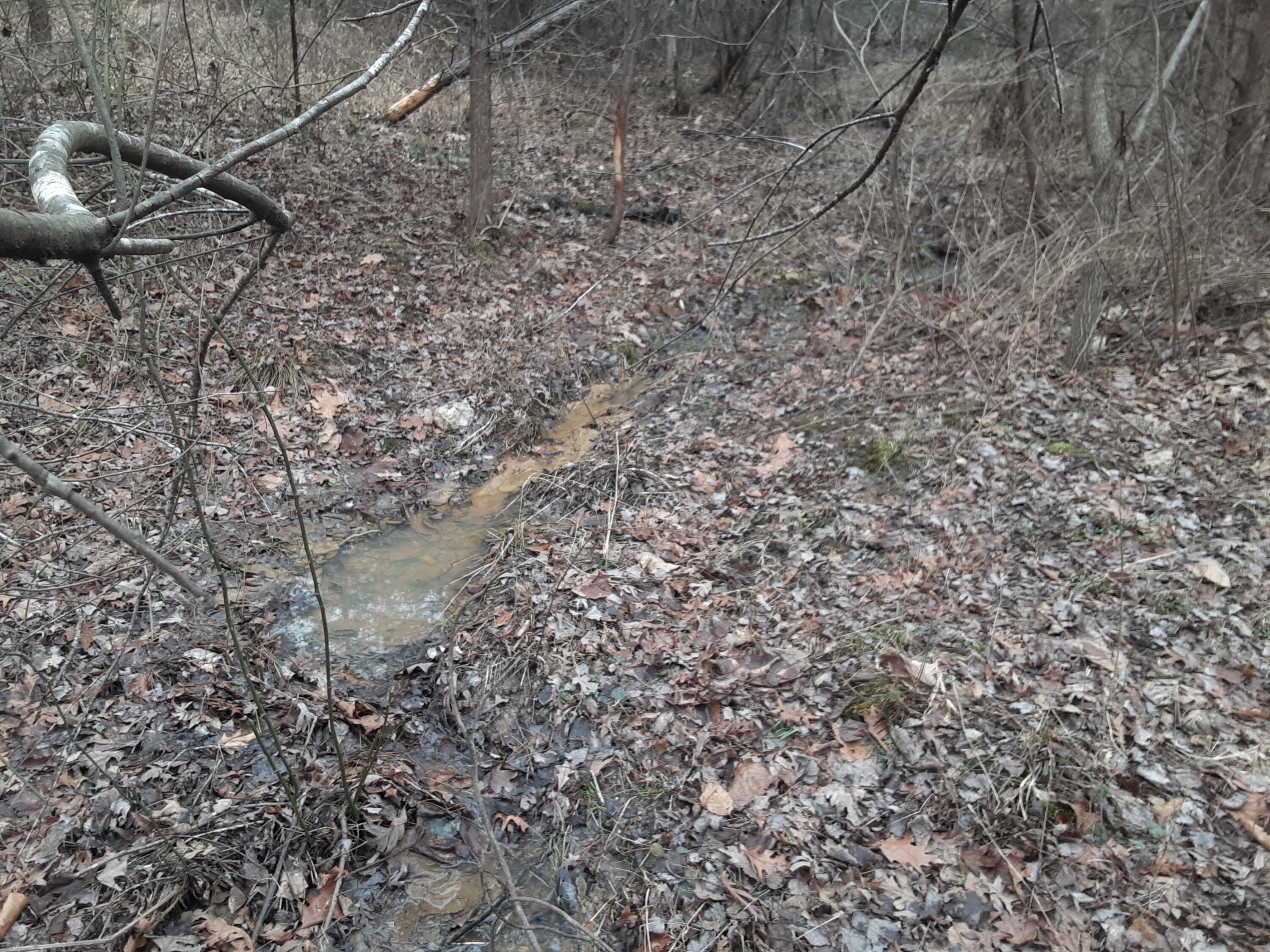 0 Wilson Church Road Bedford, VA 24523 - Photo 27 of 39 a close view of lake