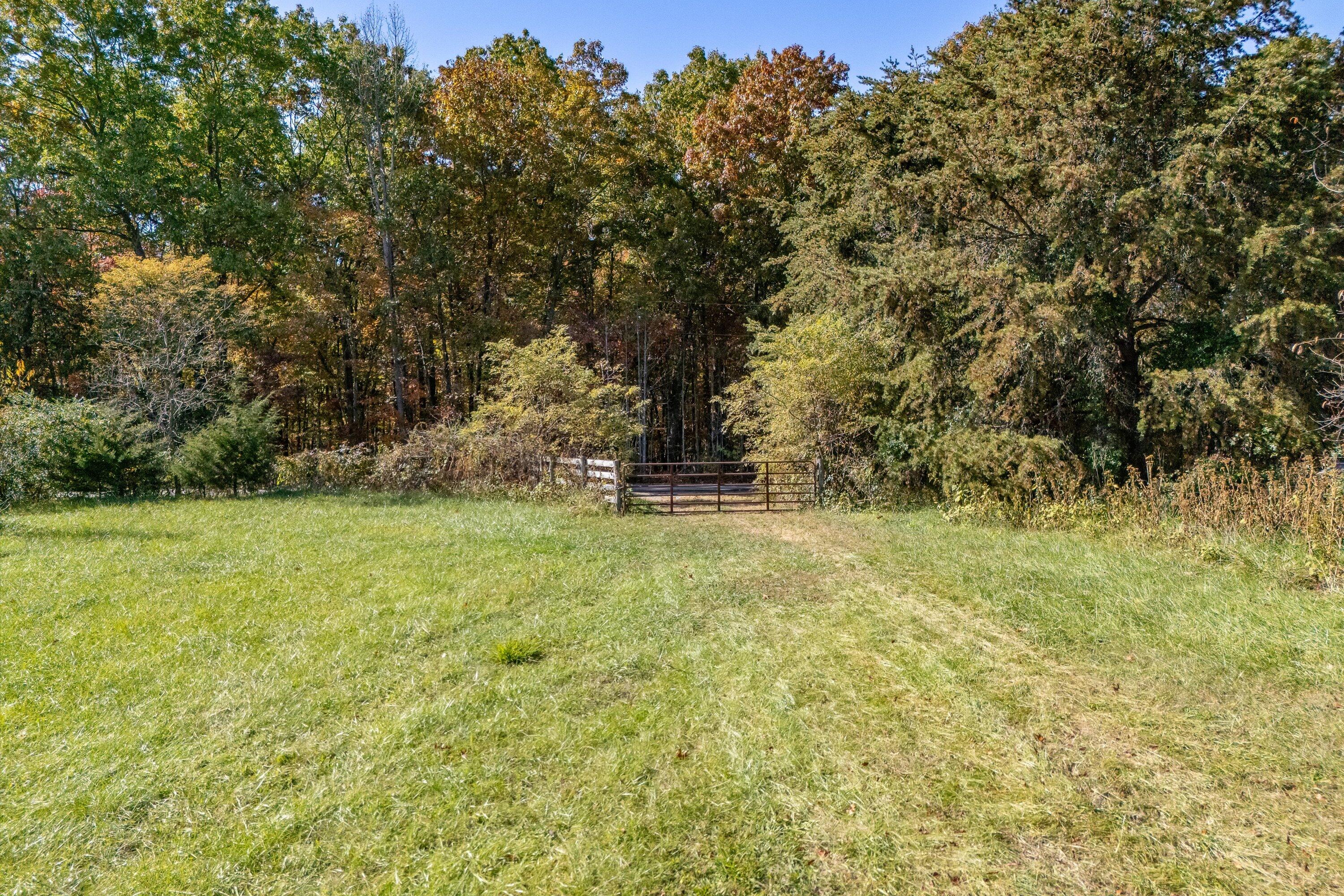 0 Wilson Church Road Bedford, VA 24523 - Photo 34 of 39 a fire hydrant in the middle of a field