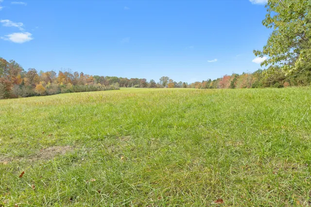 $550,000 | 0 Wilson Church Road, Bedford, VA 24523