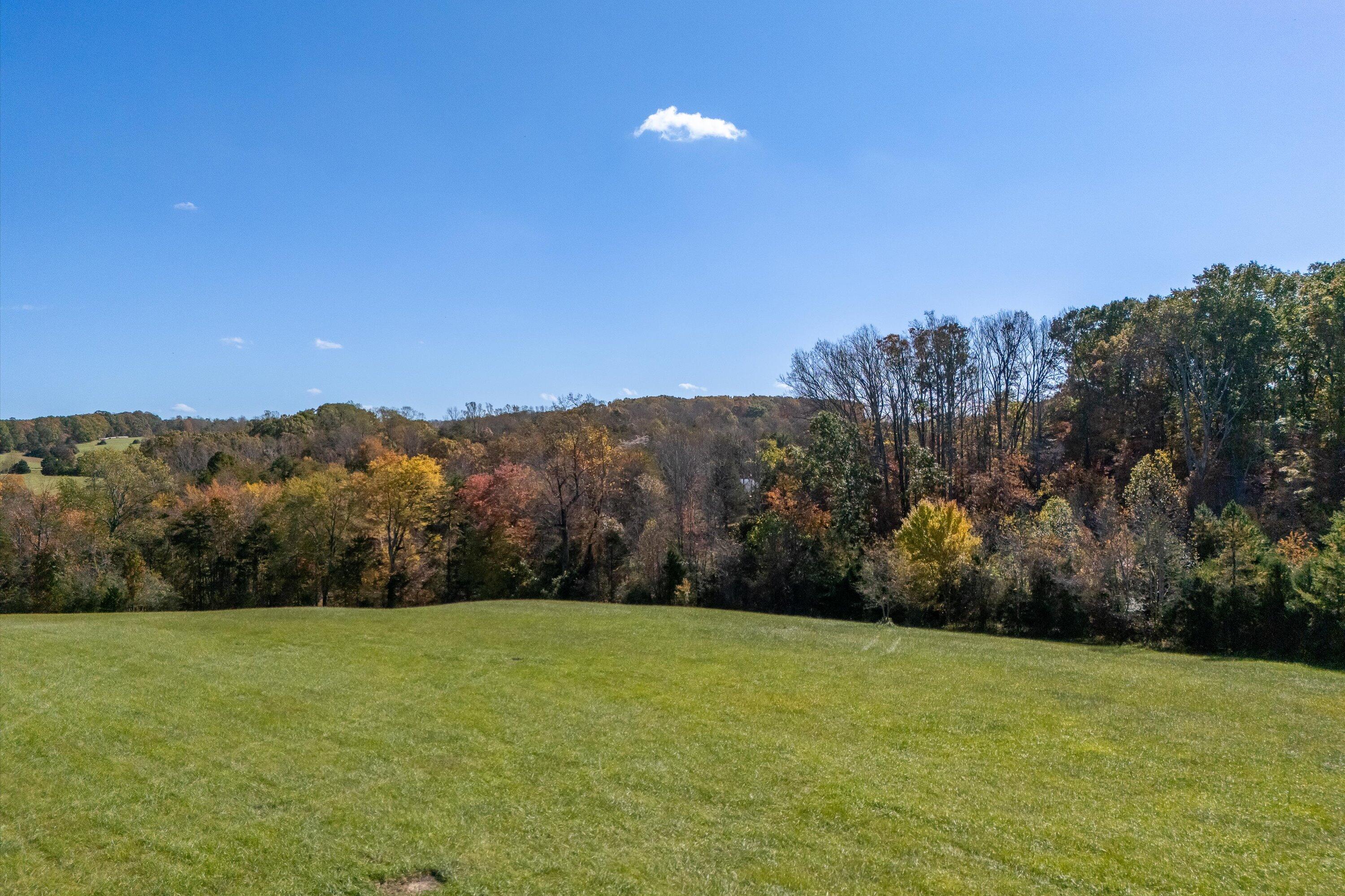 0 Wilson Church Road Bedford, VA 24523 - Photo 7 of 39 a view of a yard