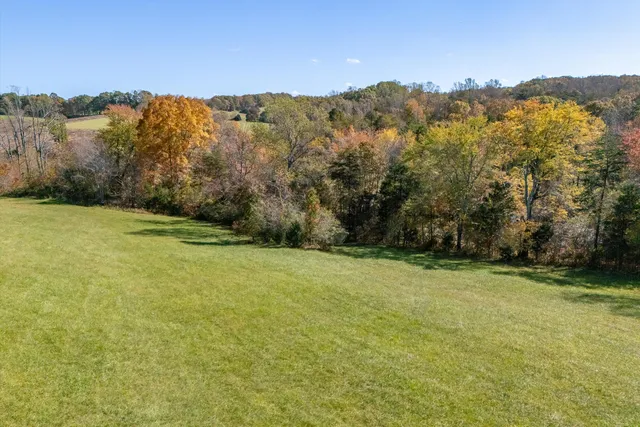 a view of a field with an ocean