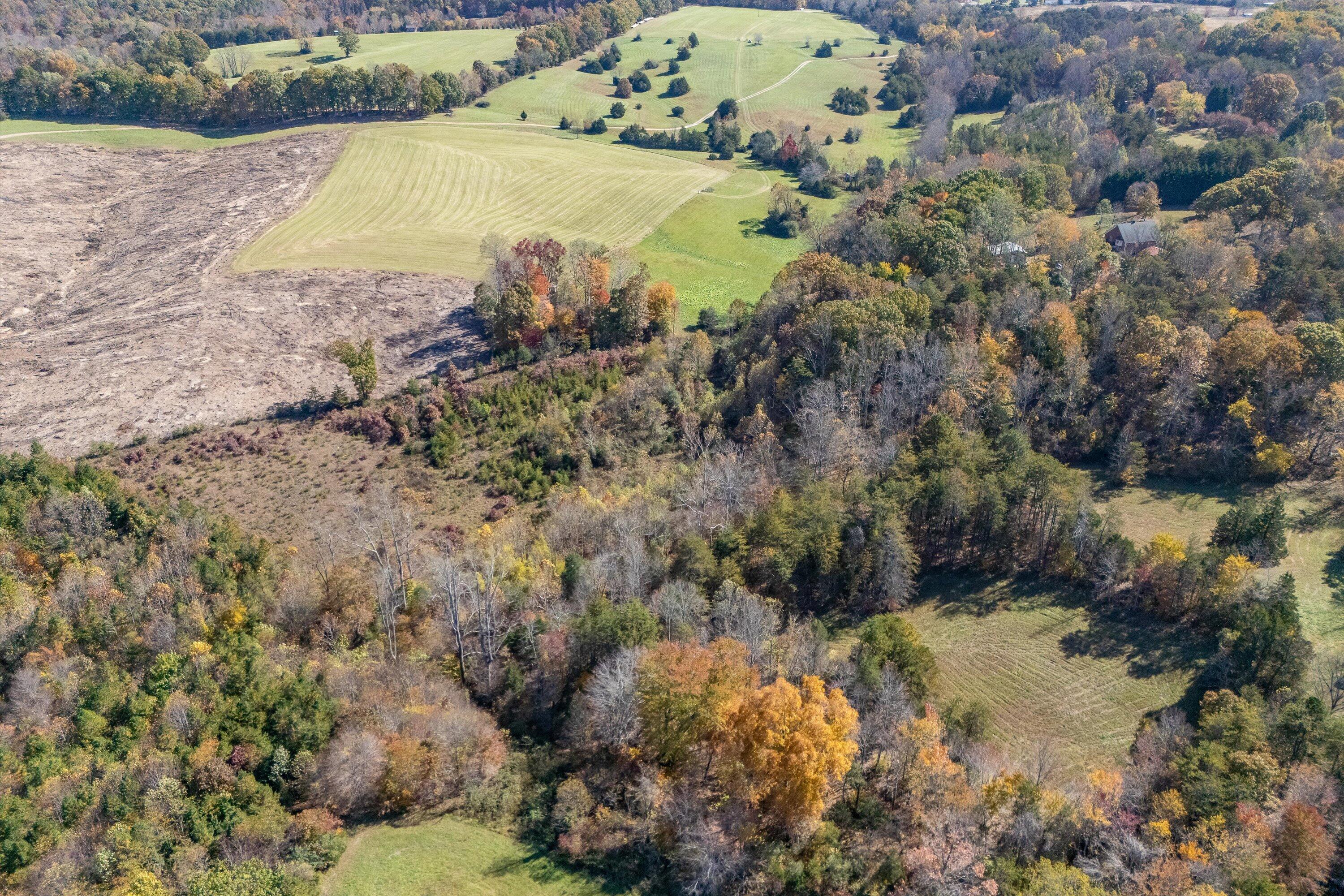 0 Wilson Church Road Bedford, VA 24523 - Photo 9 of 39 a view of a lake with large trees