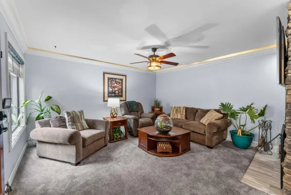 a living room with furniture and potted plant