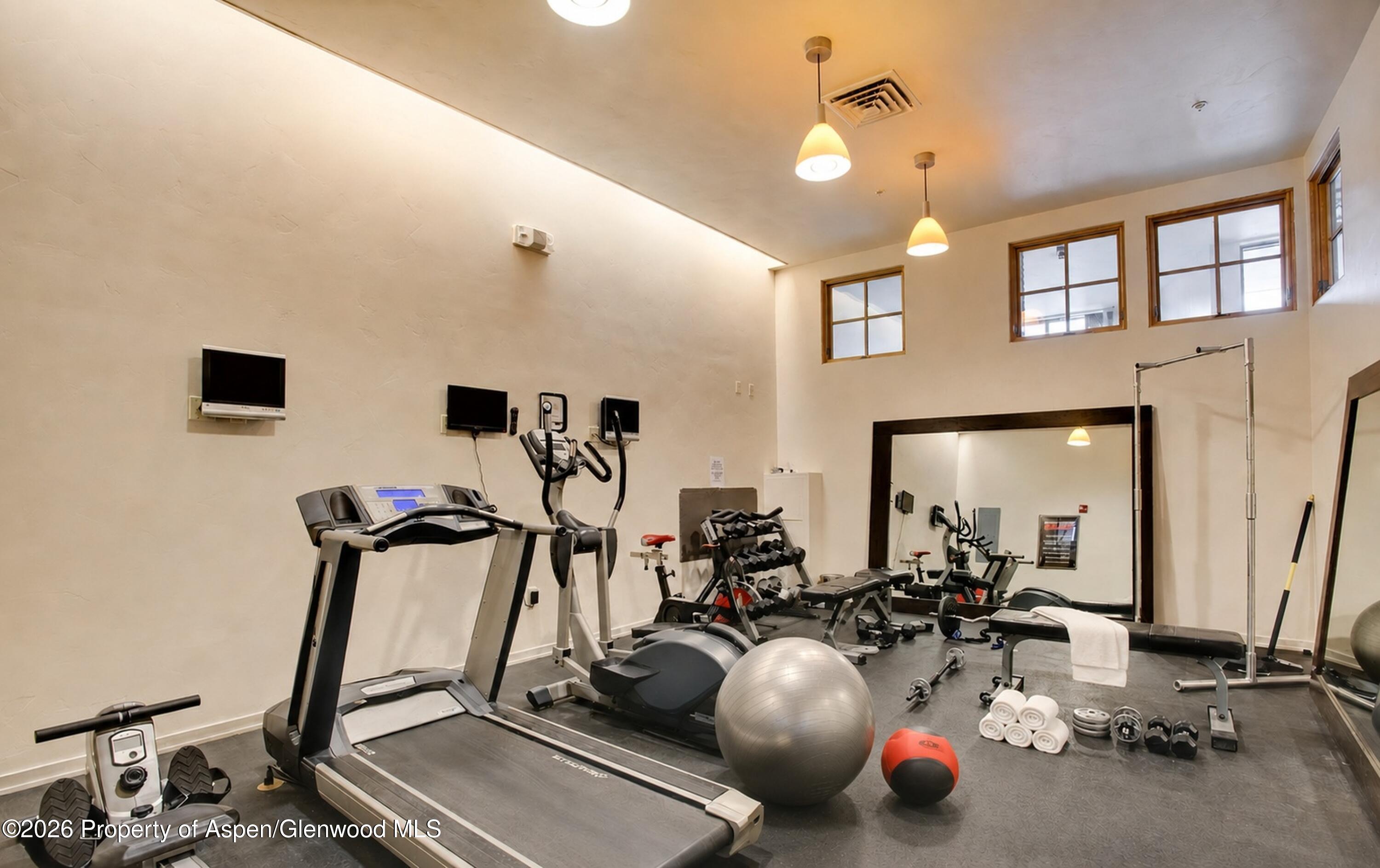 231 Robinson Street, Unit 320 Basalt, CO 81621 - Photo 21 of 22 Fitness Room