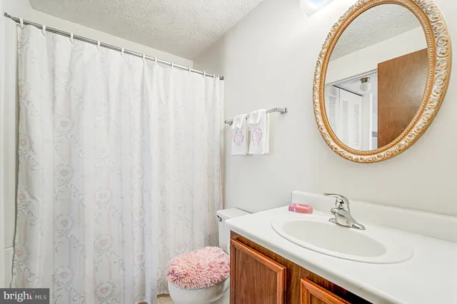 a bathroom with a sink vanity and a mirror
