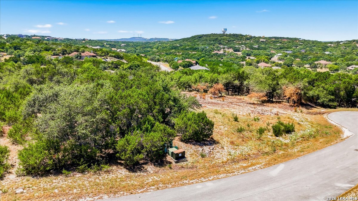 267 Champions Ridge Spring Branch, TX 78070 - Photo 4 of 28 Gallery Image 4