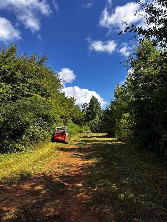 0 Old Potash Road Cedartown, GA 30125 - Photo 3 of 5
