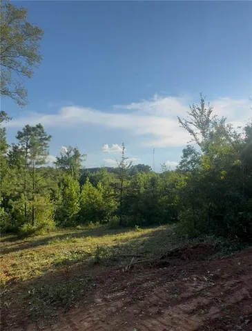 a view of a grassy area with an trees