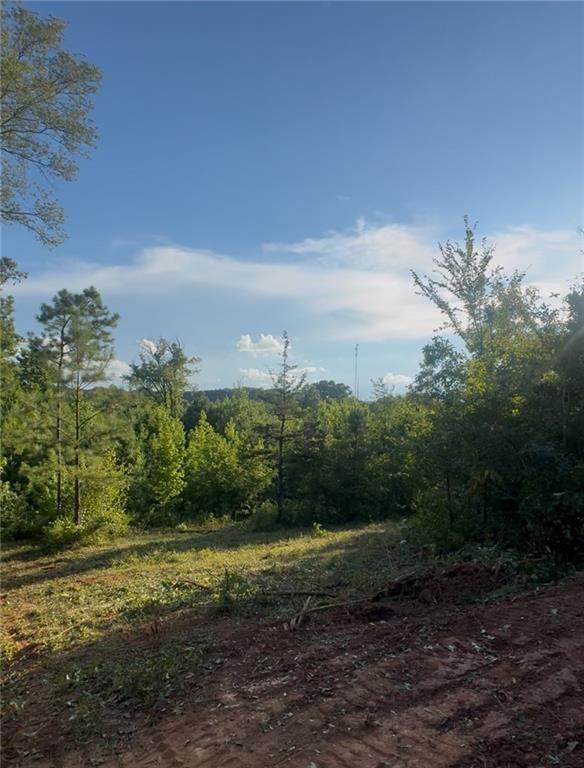 0 Old Potash Road Cedartown, GA 30125 - Photo 5 of 5