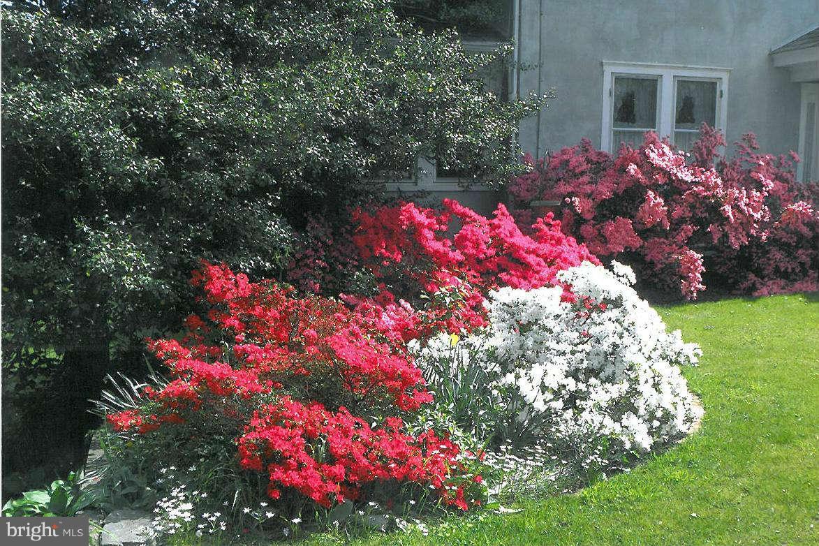 1205 Frederick Road Baltimore, MD 21228 - Photo 5 of 30 a outdoor view of flowers and flowers