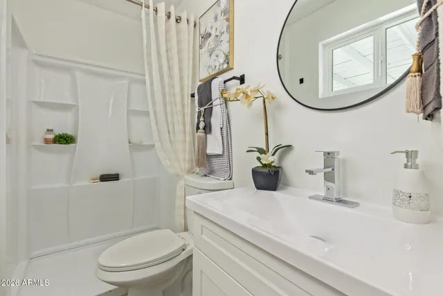 a bathroom with a sink a toilet and a mirror