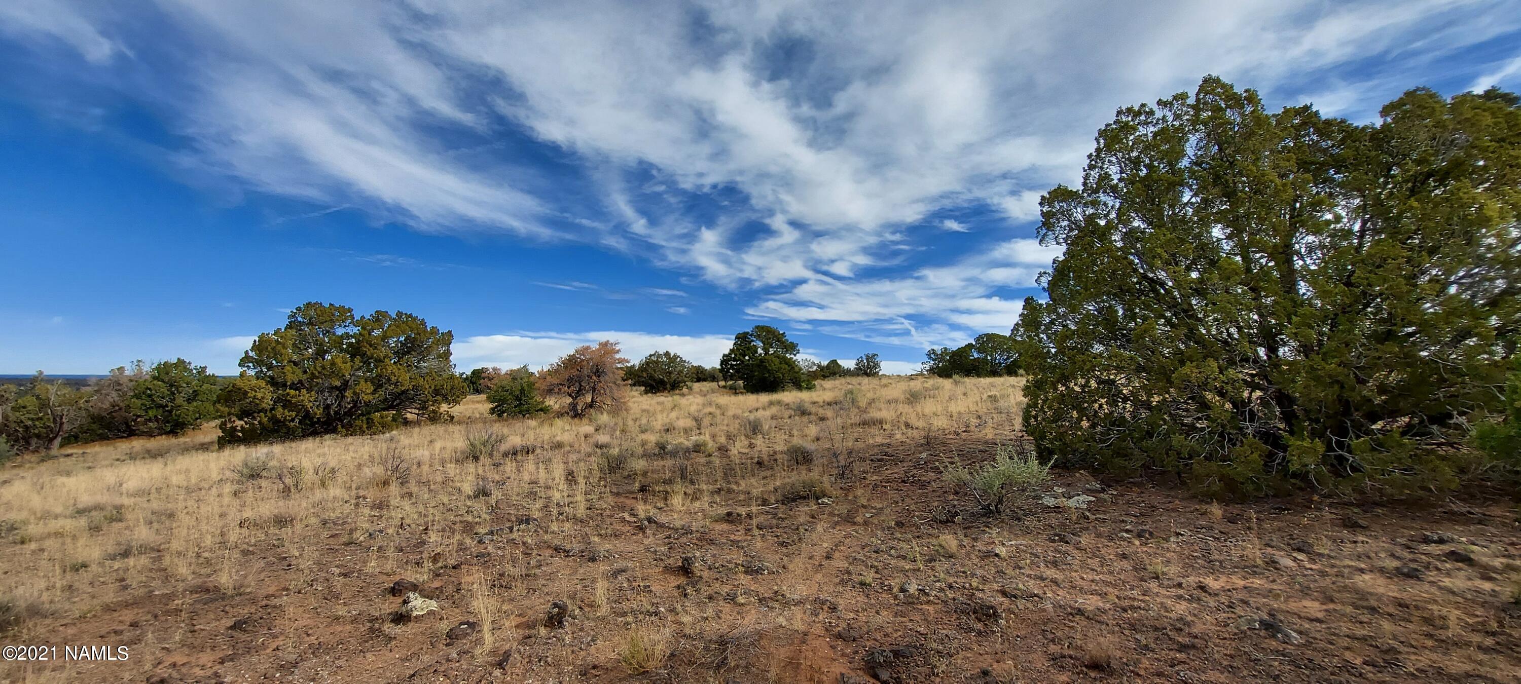 6707 North S Rim Ranch Road, Unit 255 Williams, AZ 86046 - Photo 21 of 63 20211102_101555