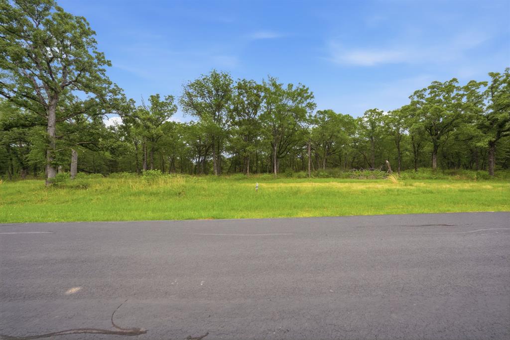7322 Ranch Oaks Trail Malakoff, TX 75148 - Photo 3 of 11 a view of a golf course with a road