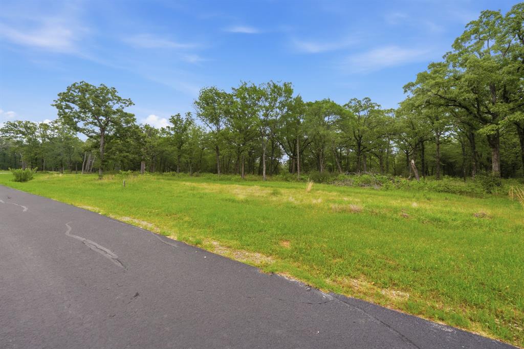 7322 Ranch Oaks Trail Malakoff, TX 75148 - Photo 4 of 11 a view of a field with trees in the background