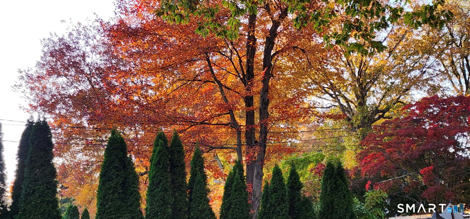 55 Merriman Road Stamford, CT 06905 - Photo 7 of 20