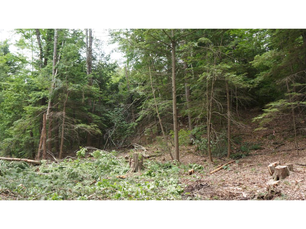 196 Colby Road, Unit LOT 18610 Weare, NH 03281 - Photo 2 of 4