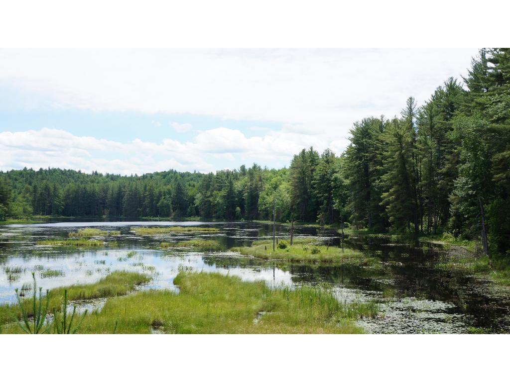 196 Colby Road, Unit LOT 18610 Weare, NH 03281 - Photo 4 of 4