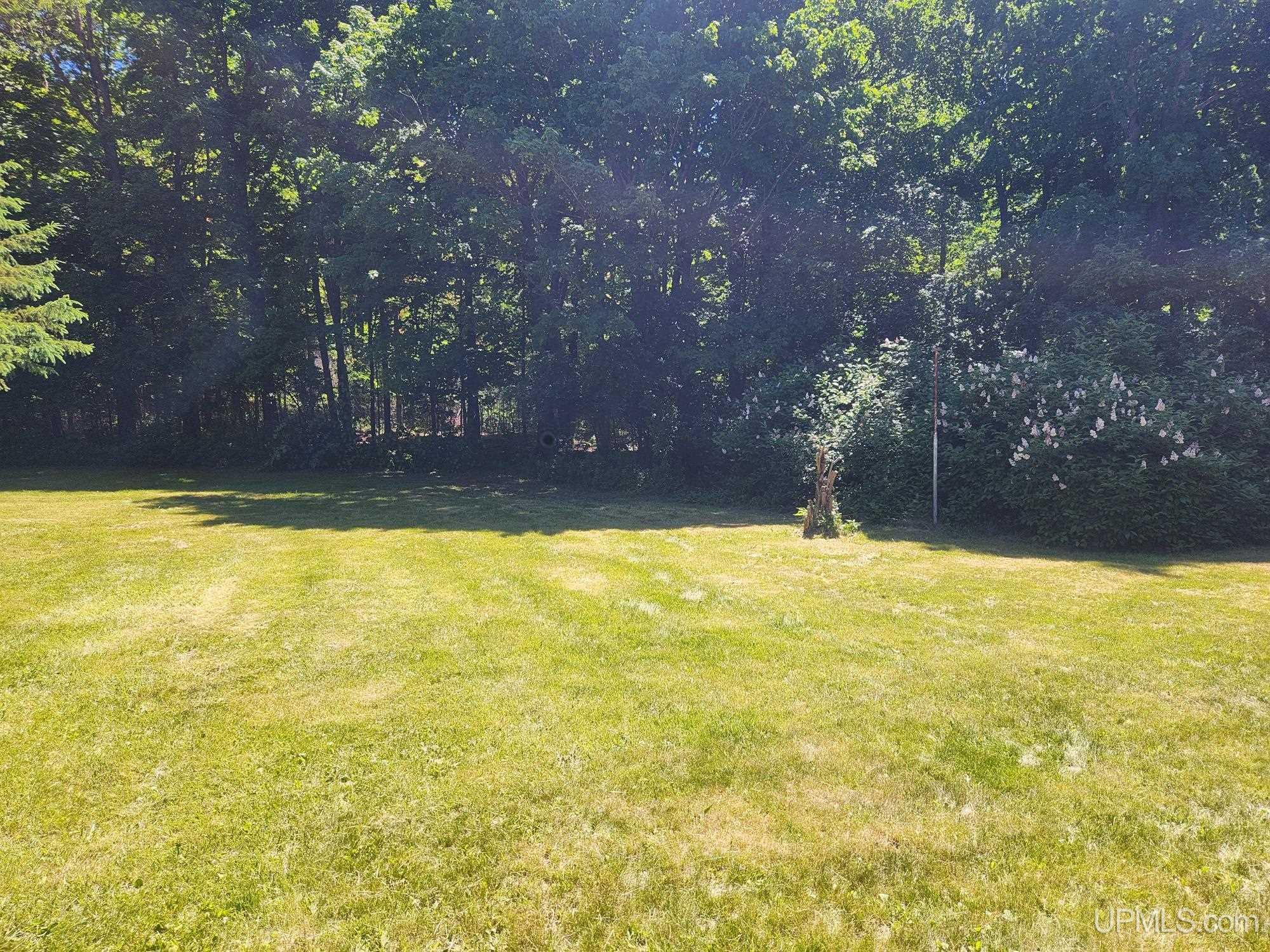 132 Section 22 Road Iron River, MI 49935 - Photo 49 of 64