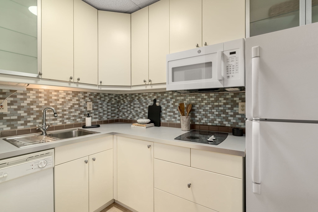 22 Chestnut Place, Unit M3 Brookline, MA 02445 - Photo 11 of 20