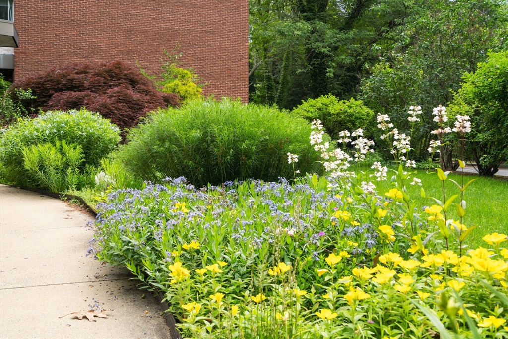 22 Chestnut Place, Unit M3 Brookline, MA 02445 - Photo 19 of 20