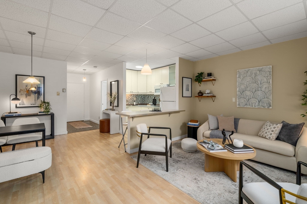 22 Chestnut Place, Unit M3 Brookline, MA 02445 - Photo 2 of 20