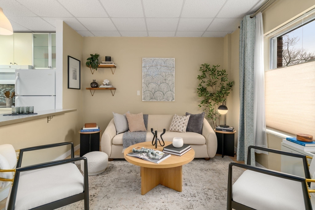 22 Chestnut Place, Unit M3 Brookline, MA 02445 - Photo 3 of 20