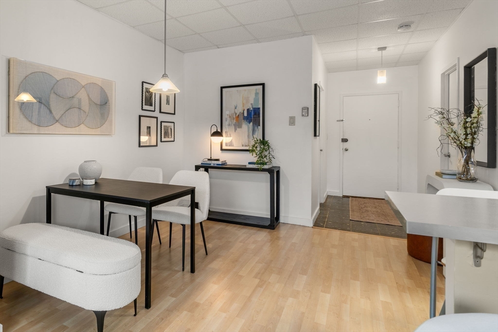 22 Chestnut Place, Unit M3 Brookline, MA 02445 - Photo 7 of 20