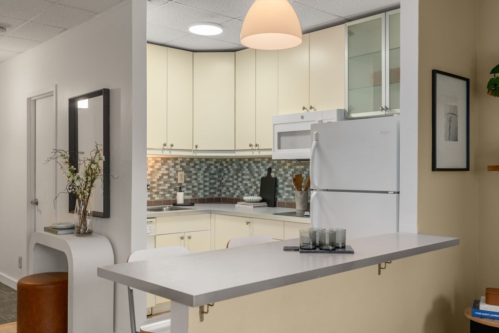 22 Chestnut Place, Unit M3 Brookline, MA 02445 - Photo 8 of 20