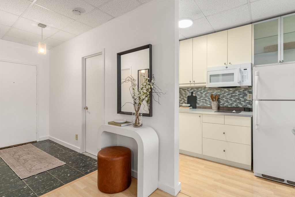 22 Chestnut Place, Unit M3 Brookline, MA 02445 - Photo 10 of 20