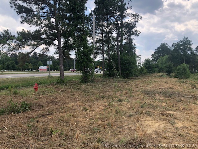 6415 Fayetteville Road Raeford, NC 28376 - Photo 2 of 11 a view of outdoor space with deck and trees