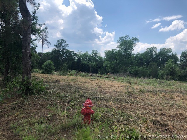 6415 Fayetteville Road Raeford, NC 28376 - Photo 4 of 11 a view of outdoor space with green field and trees
