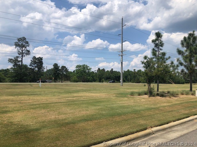 6415 Fayetteville Road Raeford, NC 28376 - Photo 8 of 11 a view of a lake with a big yard