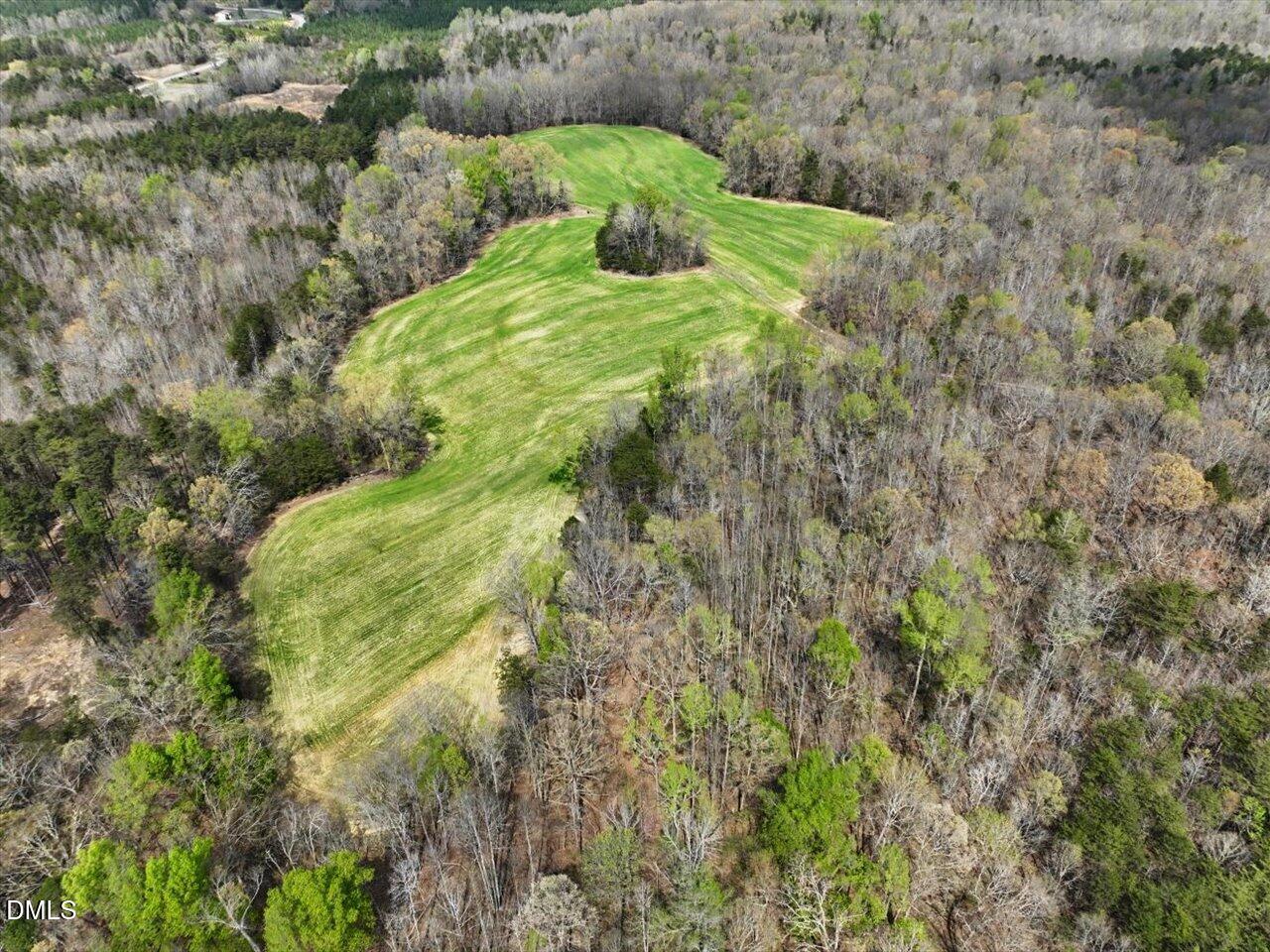 7793 Ridgeville Road Leasburg, NC 27291 - Photo 32 of 91