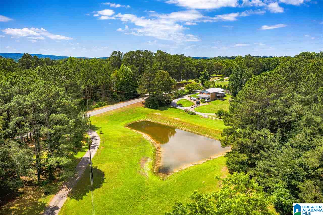 225 County Road 33 Oneonta, AL 35121 - Photo 38 of 41
