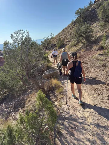 a view of a large building with mountains in the background