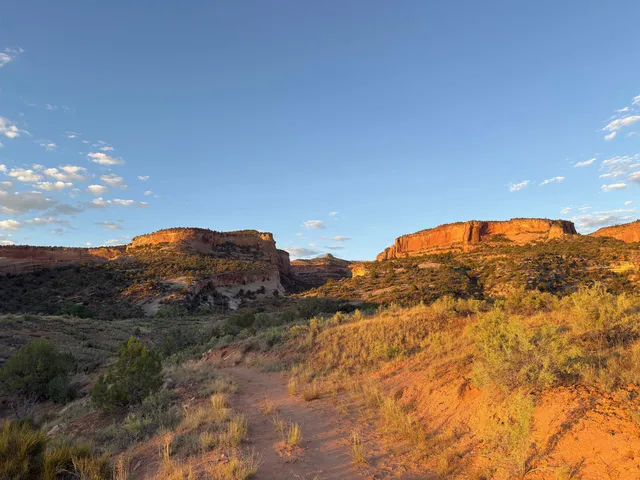 a view of car parked on road with city view