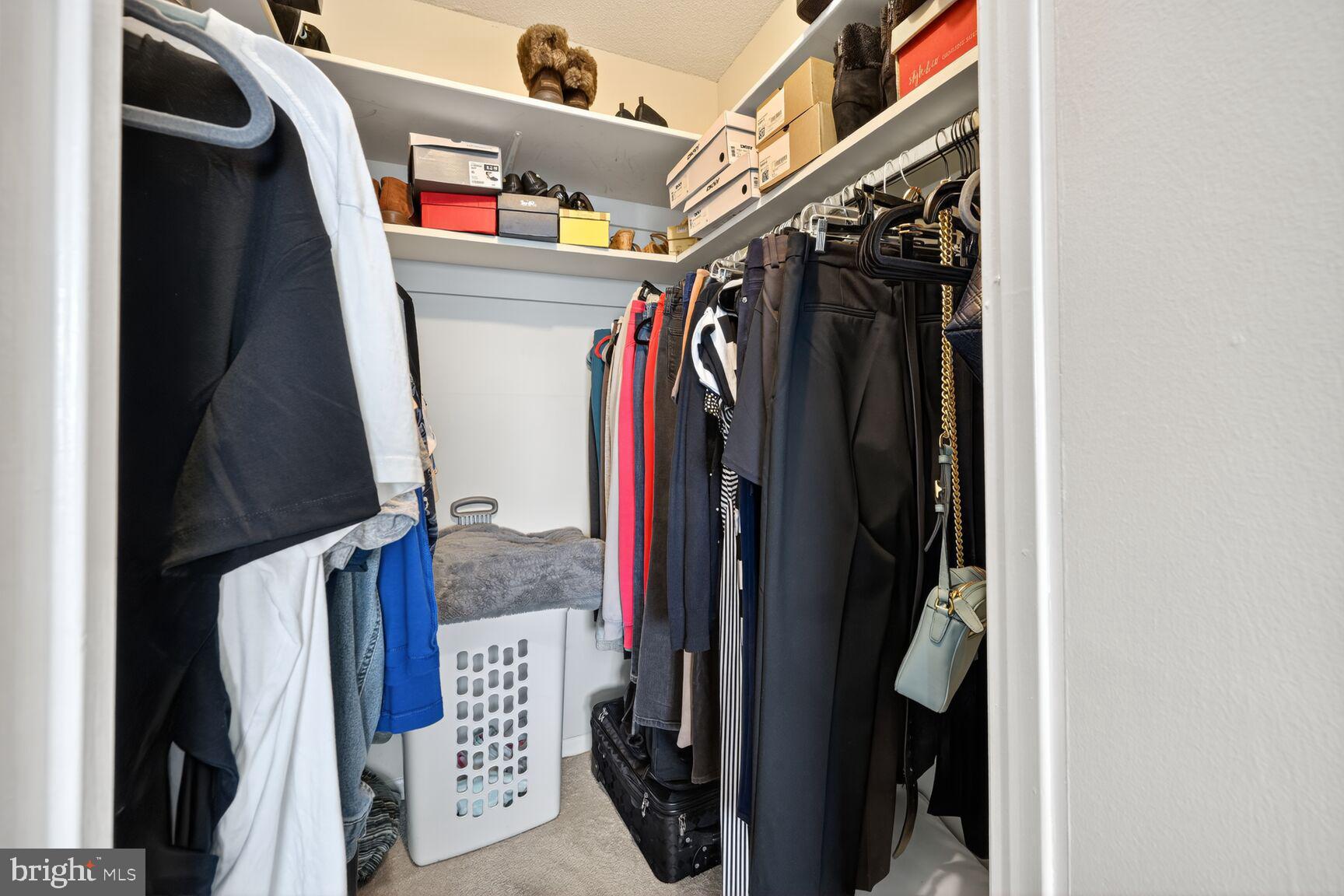 1121 University Boulevard West, Unit 1104B Silver Spring, MD 20902 - Photo 20 of 28 Primary Walk-in Closet