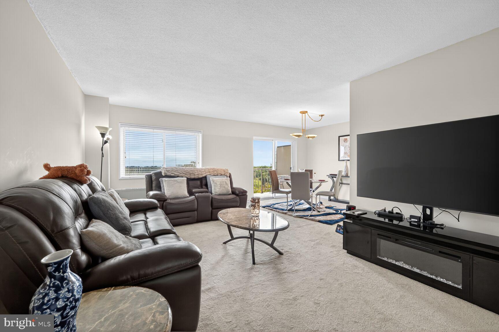 1121 University Boulevard West, Unit 1104B Silver Spring, MD 20902 - Photo 9 of 28 View from front door