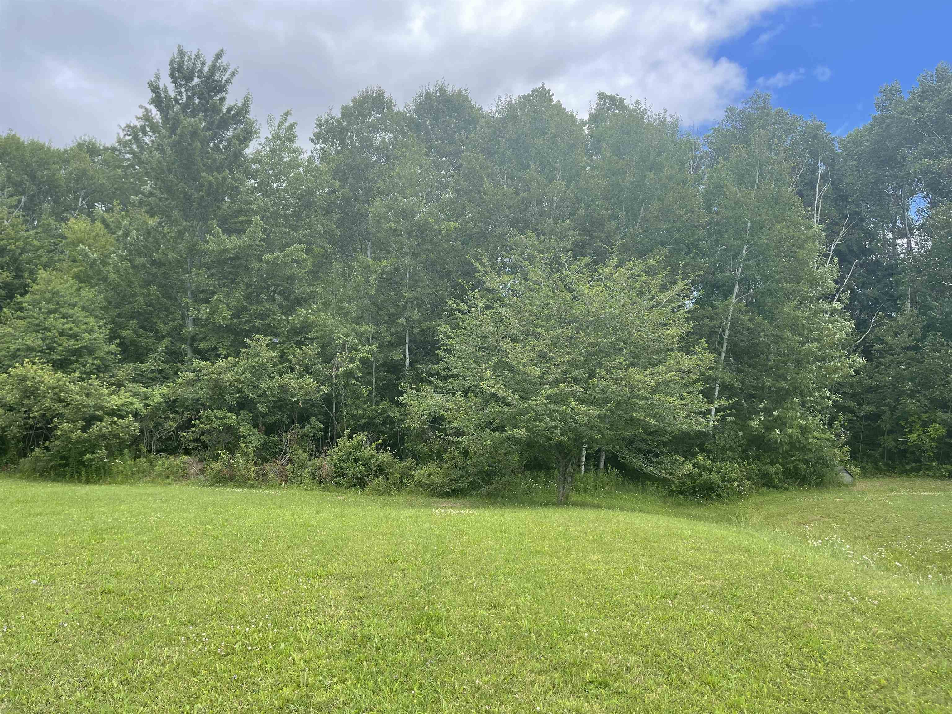 7326 West Esmond Road Hale, MI 48739 - Photo 5 of 5 Gallery Image 5