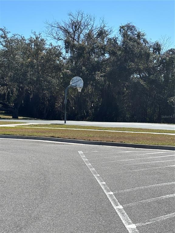 13719 Eastfork Lane Hudson, FL 34669 - Photo 16 of 17