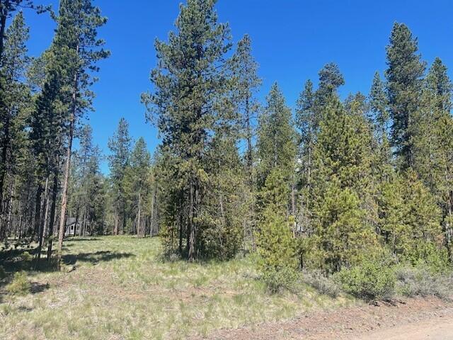55907 Savage Road Bend, OR 97707 - Photo 3 of 9 a view of a yard with a tree