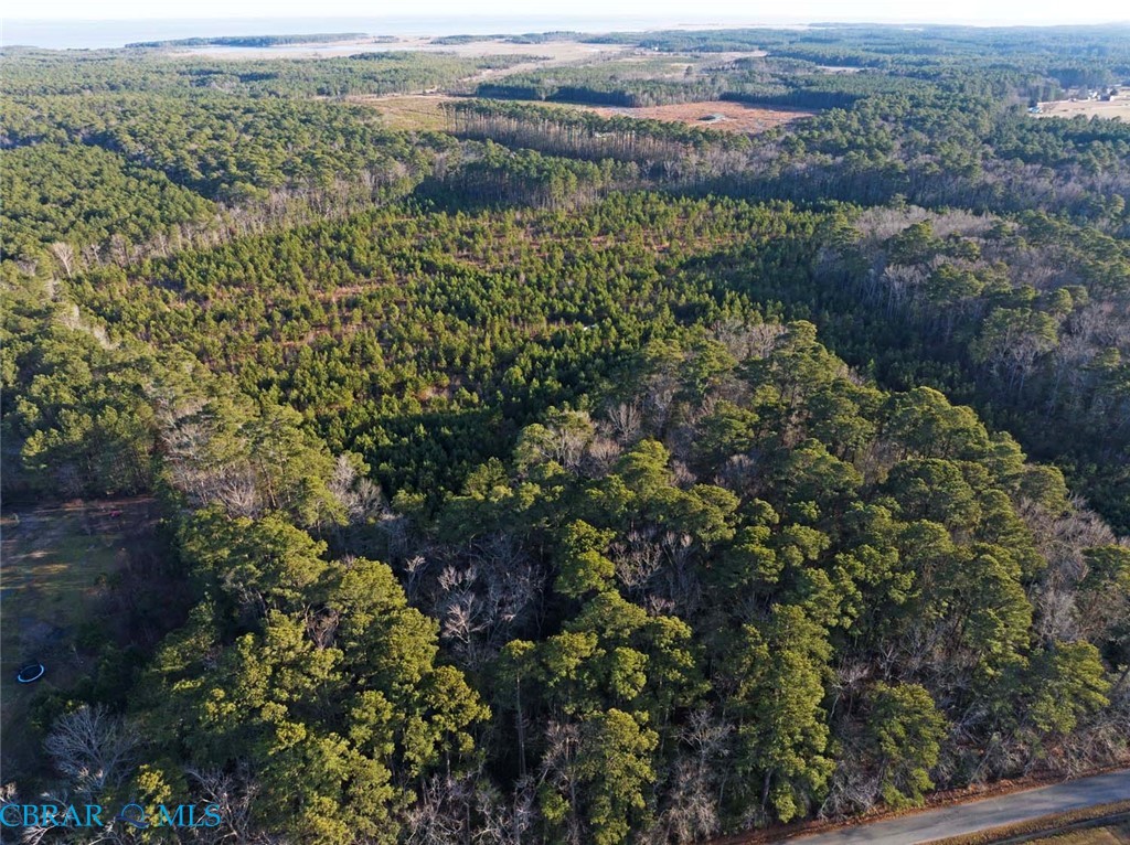 0 Salem Church Road Mathews, VA 23109 - Photo 3 of 10