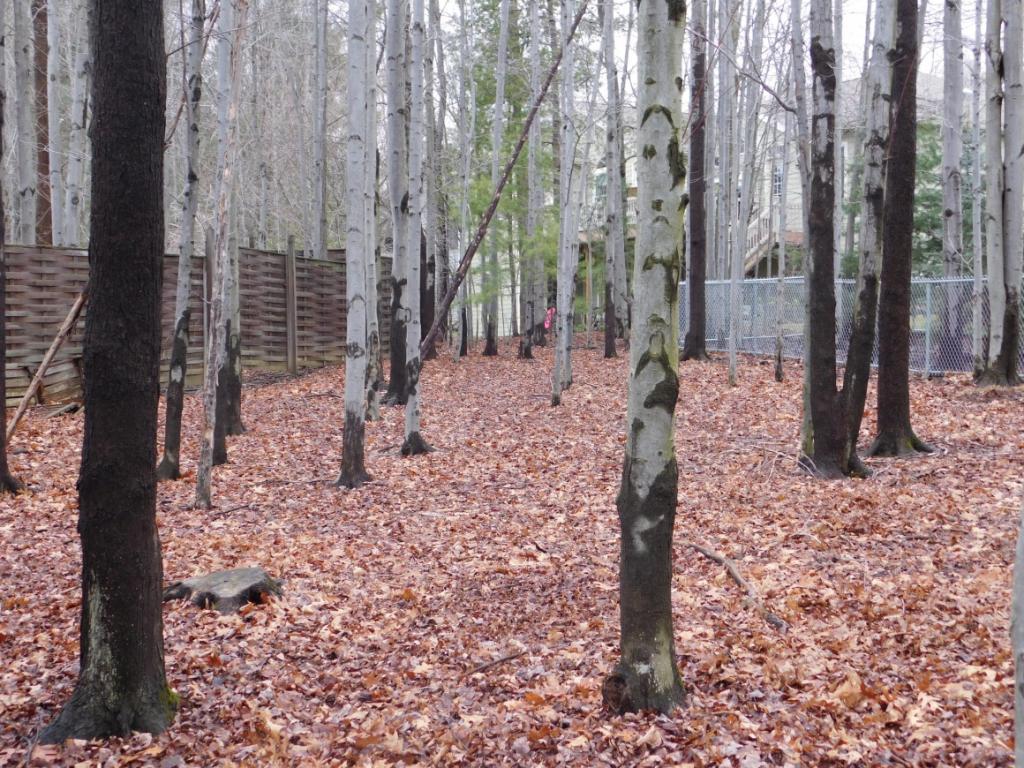 18 Redwood Road Endicott, NY 13760 - Photo 22 of 22 Gallery Image 22