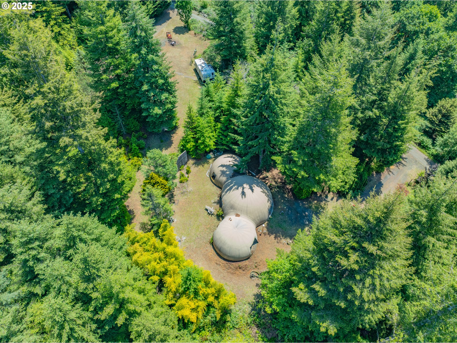 58812 Garden Valley Road Coquille, OR 97423 - Photo 11 of 36 a view of a plant in a garden